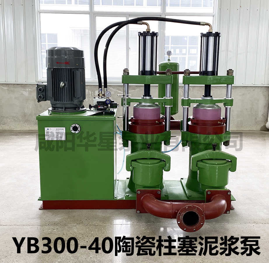 YB300-40陶瓷柱塞泵圖片