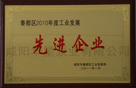 秦都區(qū)2010年度工業(yè)發(fā)展先進企業(yè)